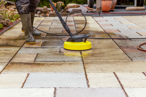 Animal Enclosure Cleaning in Sanborn, NY